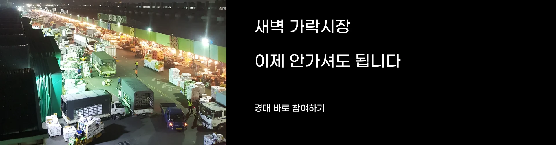 새벽 가락시장, 이제 안 가셔도 됩니다 — 경매 바로 참여하기