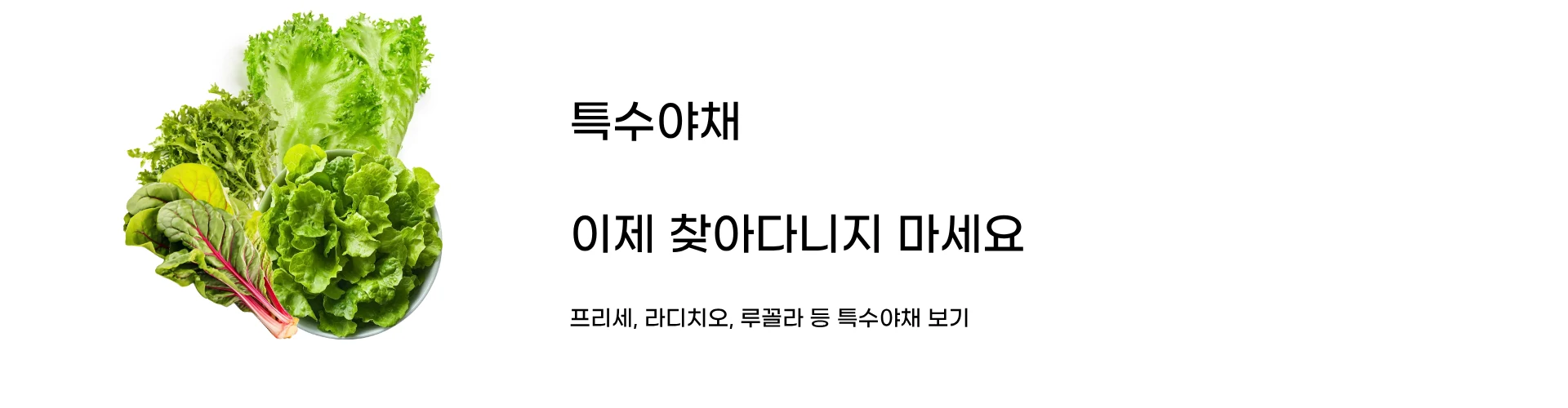 특수야채, 이제 찾아다니지 마세요 — 프리세, 라디치오, 루꼴라 등 보기